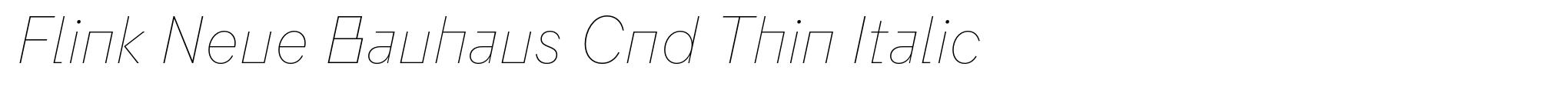 Flink Neue Bauhaus Cnd Thin Italic image
